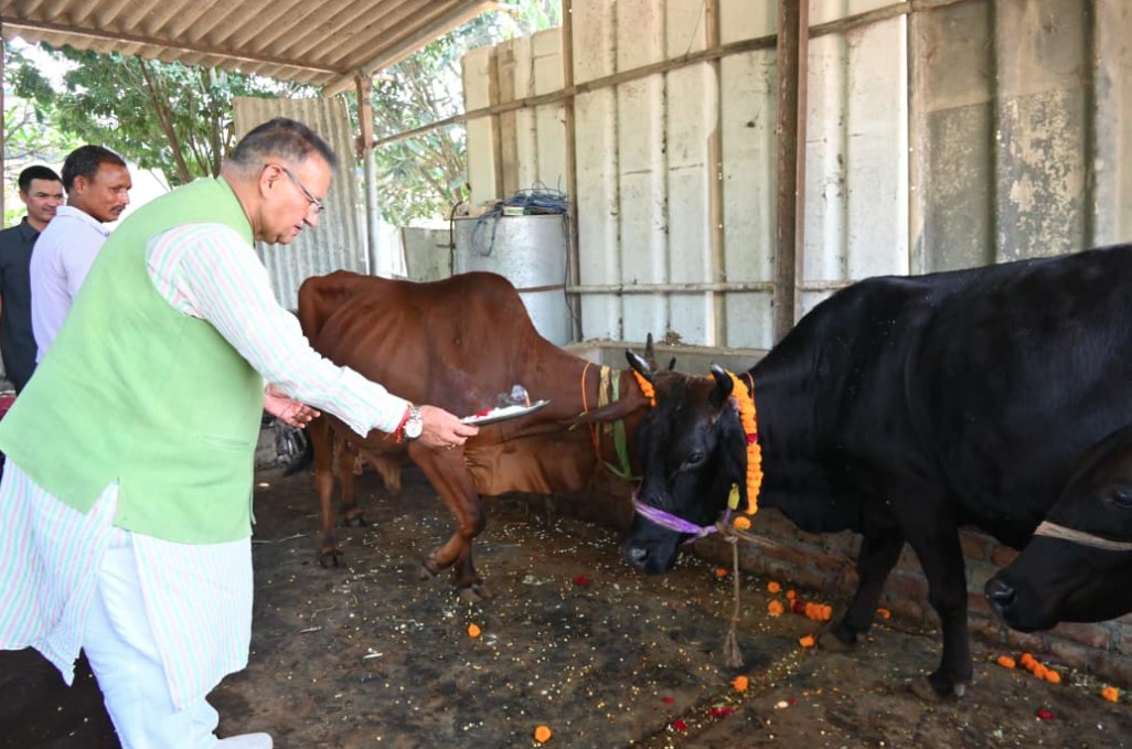 कैबिनेट मंत्री गणेश जोशी ने गोवर्धन पूजा के अवसर पर किया गौमाता का पूजन 